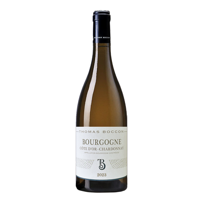 Thomas Boccon - Bourgogne Côte d'Or 2023 en vente ici