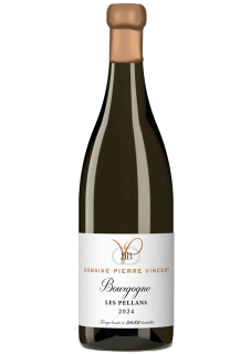 Domaine Pierre Vincent Bourgogne Les Pellans Blanc 2024