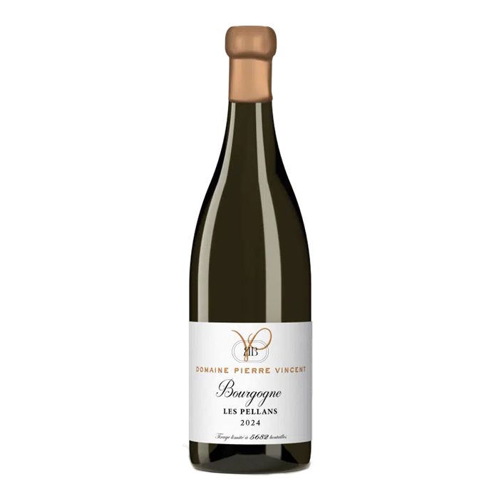 Domaine Pierre Vincent Bourgogne Les Pellans Blanc 2024