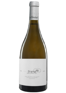 Domaine Clos Venturi Brama Biancu Gentile 2025