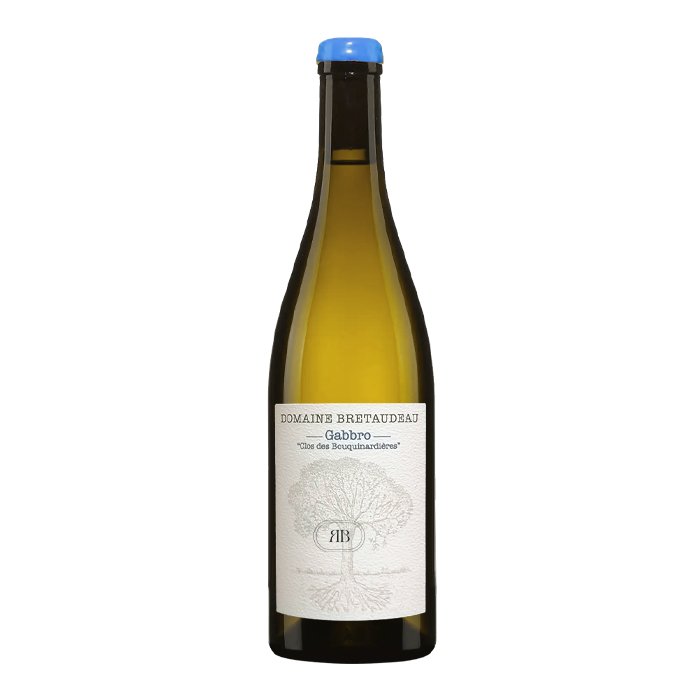Domaine de Belle-Vue Jérôme Bretaudeau Muscadet Gabbro Clos Des Bouquinardieres 2024