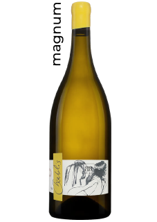 Domaine Pattes Loup Magnum Chablis Vent d'Ange Mise Tardive 2022 en vente ici