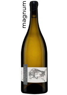 Domaine Pattes Loup Magnum Chablis 1er Cru Butteaux 2021 Mise tardive