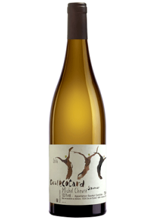 Clos de l'Ecotard par Michel Chevré