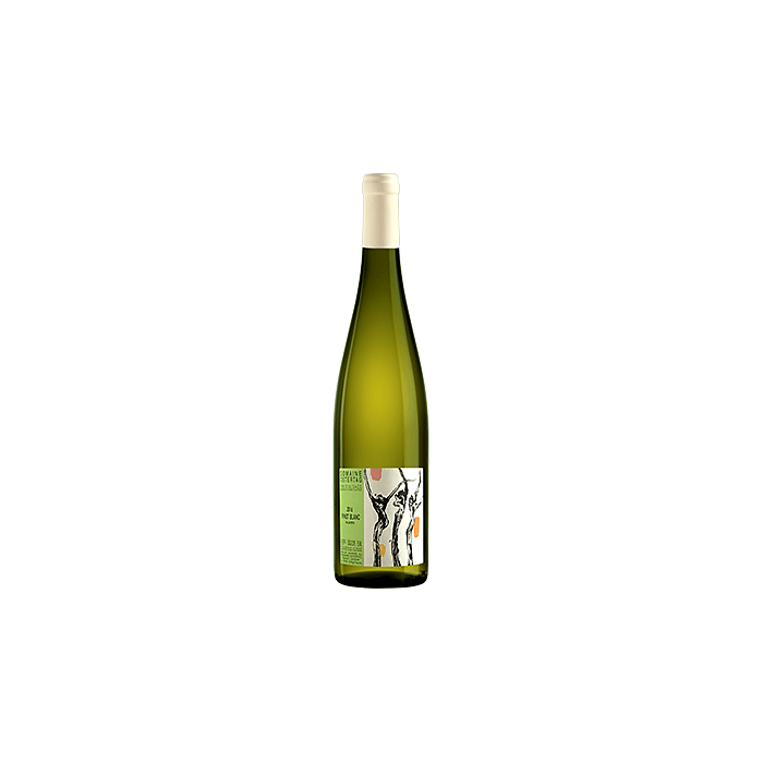 Pinot Blanc Les Jardins