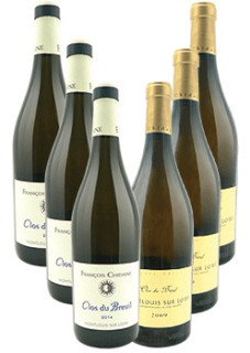 Caisse Verticale Clos du Breuil
