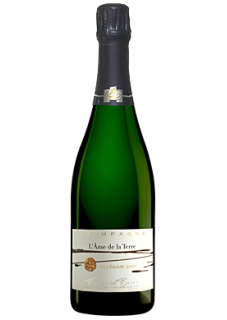 L'âme de la Terre Extra-Brut