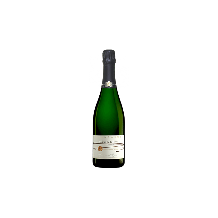 L'âme de la Terre Extra-Brut