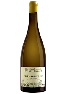 Chablis Grand Cru Vaudésir