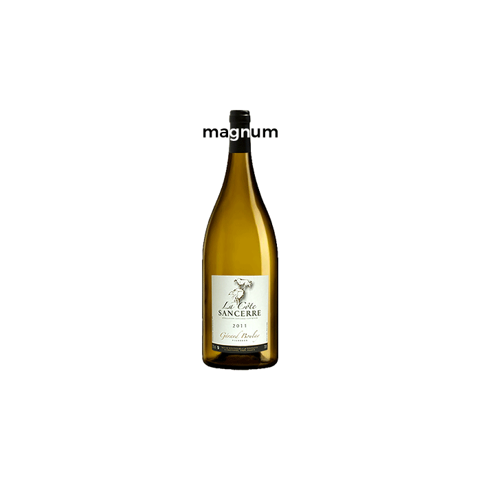 Sancerre La Côte