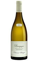Bourgogne Chardonnay