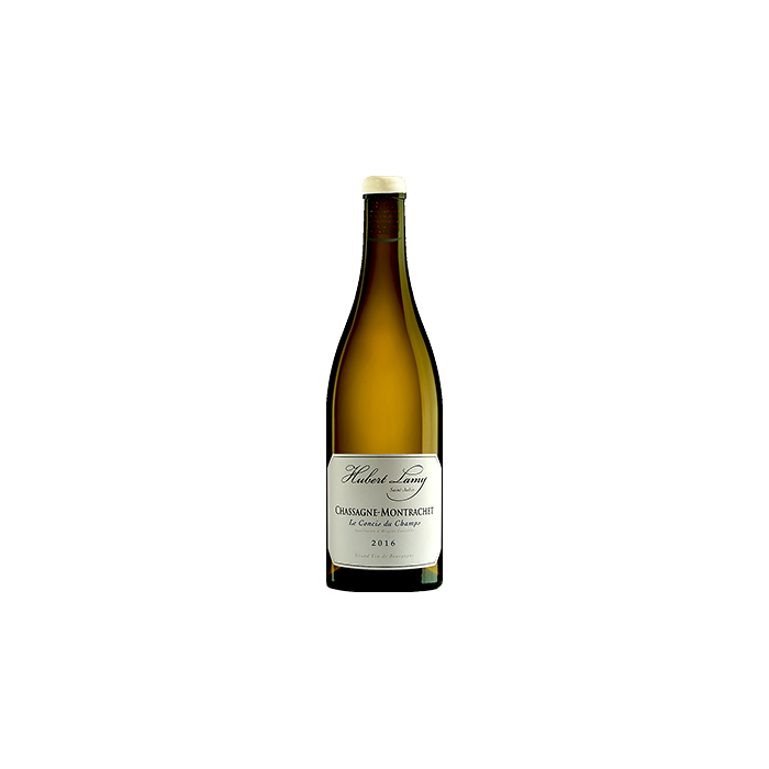 Chassagne-Montrachet Concis du Champ