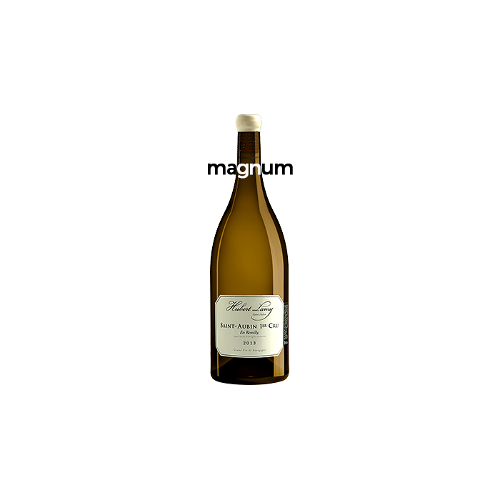 Saint-Aubin 1er Cru En Remilly
