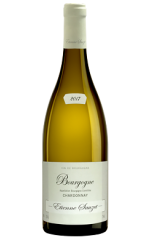 Bourgogne Chardonnay