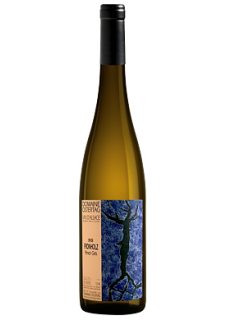 Pinot Gris Fronholz