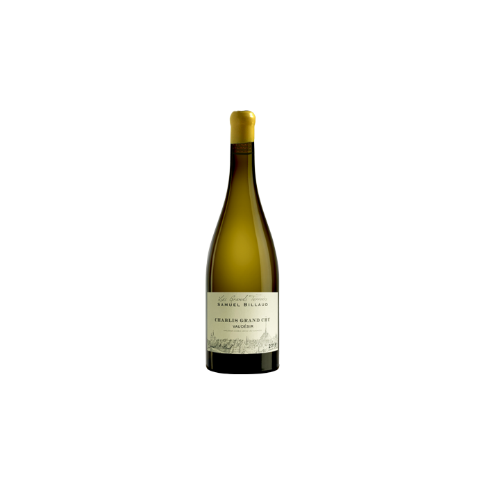 Chablis Grand Cru Vaudésir