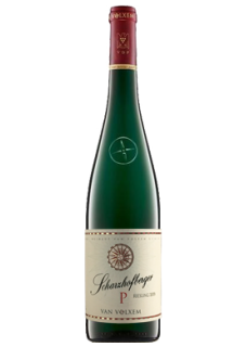 Grand Cru Scharzhofberger Pergentsknopp Riesling