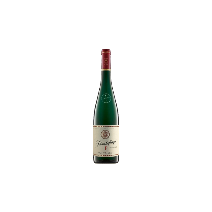 Grand Cru Scharzhofberger Pergentsknopp Riesling