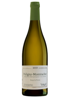 Puligny-Montrachet 1er Cru Sous le Puits