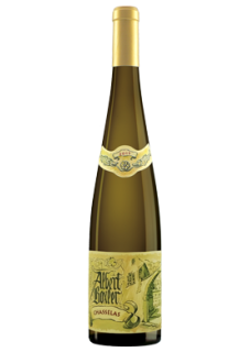 Chasselas