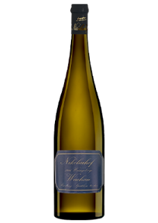 Im Weingebirge Riesling Spätlese