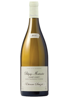 Puligny-Montrachet 1er Cru Champ Canet