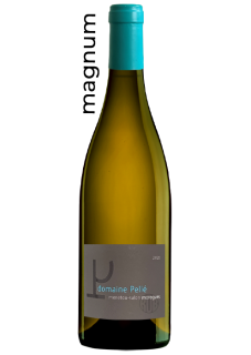 Magnum Menetou-Salon Morogues Blanc