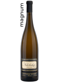 Magnum Steiner Hund Riesling