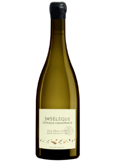 Coteaux Champenois Dizy Blanc 1er Cru