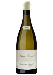 Puligny-Montrachet 1er Cru Hameau de Blagny
