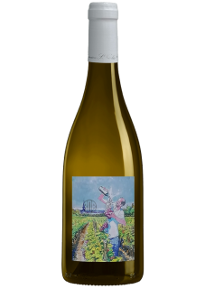 Amphore Blanc