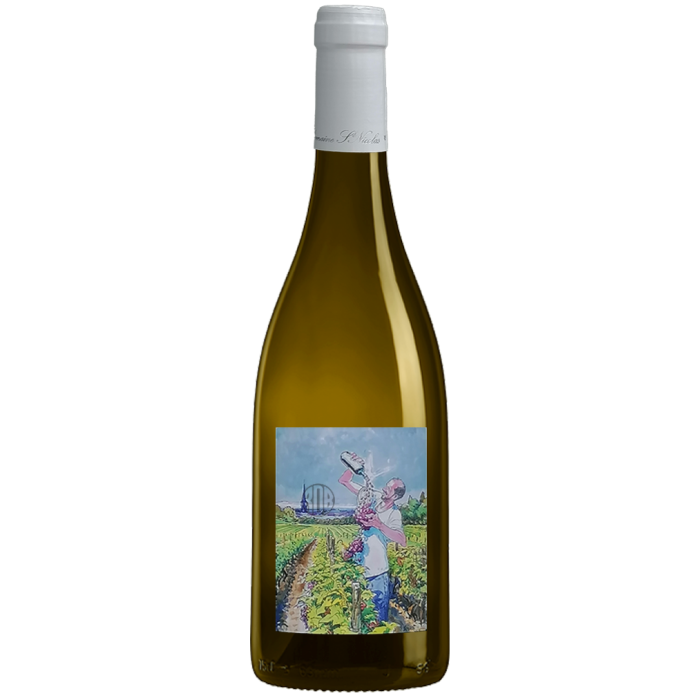 Amphore Blanc