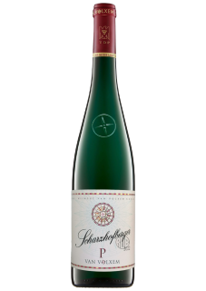 Grand Cru Scharzhofberger Pergentsknopp Riesling