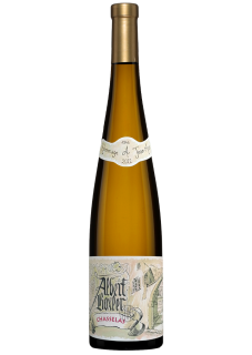 Chasselas