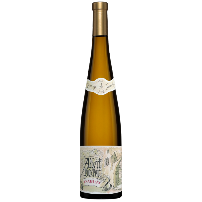 Chasselas