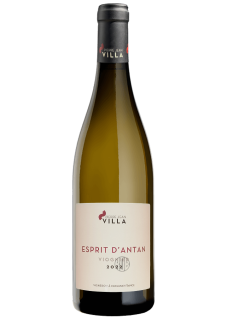 Esprit d'Antan
