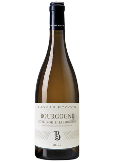 Bourgogne Côte d'Or Blanc