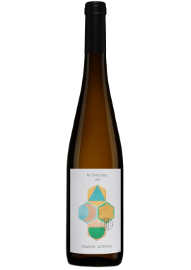 Riesling Le Berceau Pflanzer