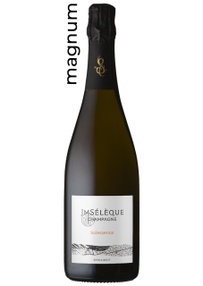 Magnum Champagne Solessence Extra-Brut