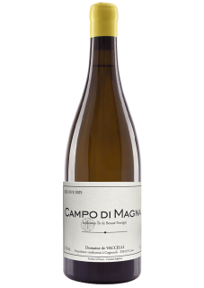 Campo Di Magna