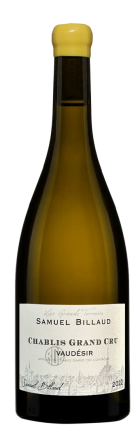 Chablis Grand Cru Vaudésir