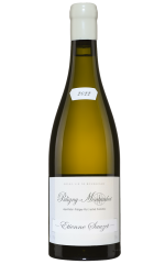 Puligny-Montrachet