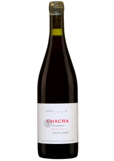 Pinot Noir 32 Treinta Y Dos