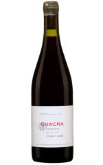 Pinot Noir 32 Treinta Y Dos