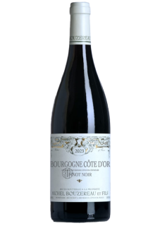 Bourgogne Côte d'Or Pinot Noir