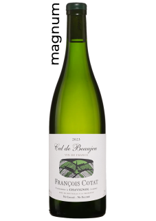 Magnum VDF Cul de Beaujeu