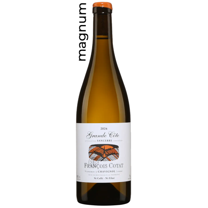 Magnum Sancerre Les Monts Damnés