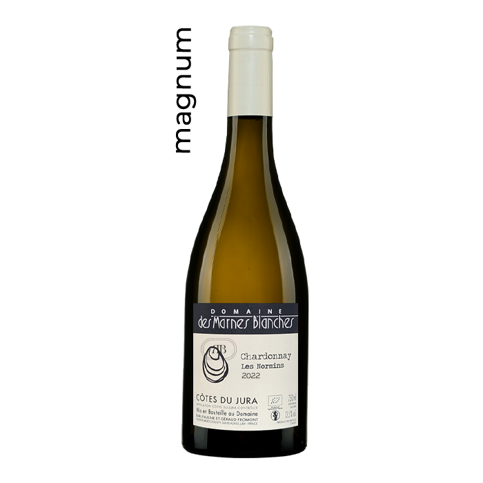 Domaine des Marnes Blanches Chardonnay Les Normins 2022 Magnum en vente ici