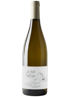 Domaine S et JP Agisson Pouilly-Fumé La Belle Endormie 2023 en vente ici
