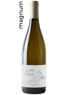 Domaine S et JP Agisson Magnum Pouilly-Fumé La Belle Endormie 2023 en vente ici
